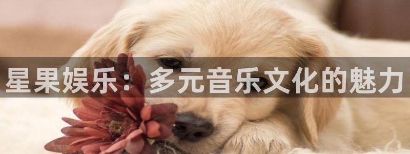 益达娱乐pg：星果娱乐：多元音乐文化的魅力