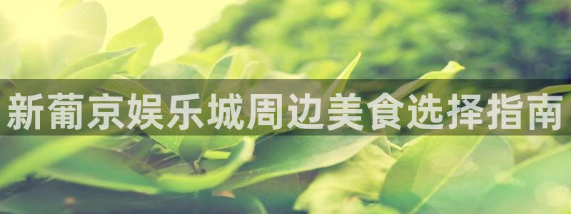 益达娱乐链接：新葡京娱乐城周边美食选择指南