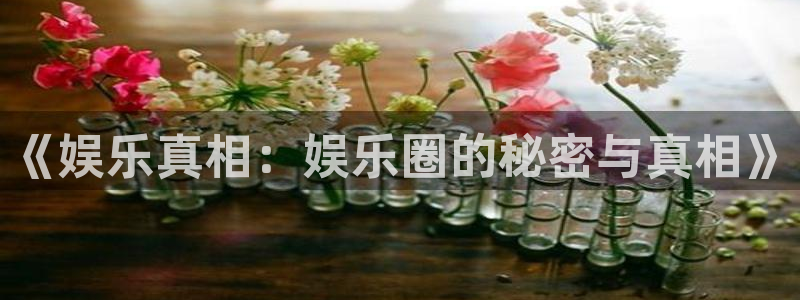 益达娱乐平台管网入口：《娱乐真相：娱乐圈的秘密与真相》
