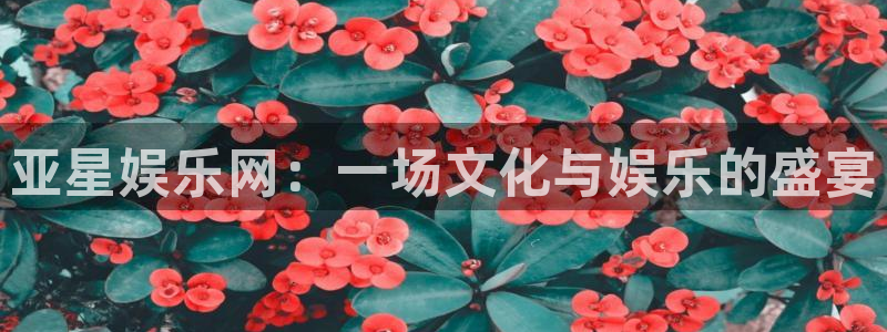 益达娱乐平台注册入口：亚星娱乐网：一场文化与娱乐的盛宴
