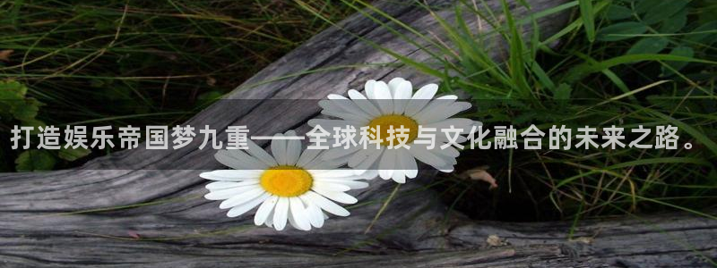 德国益达娱乐集团：打造娱乐帝国梦九重——全球科技与文化融合的未来之路。