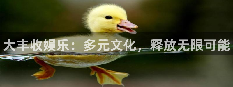 益达娱乐体育eon：大丰收娱乐：多元文化，释放无限可能