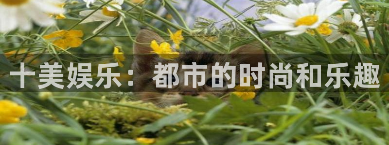 益达娱乐kgame：十美娱乐：都市的时尚和乐趣