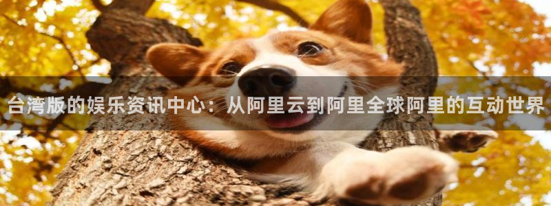 益达娱乐加拿大app预测：台湾版的娱乐资讯中心：从阿里云到阿里全球阿里的互动世界