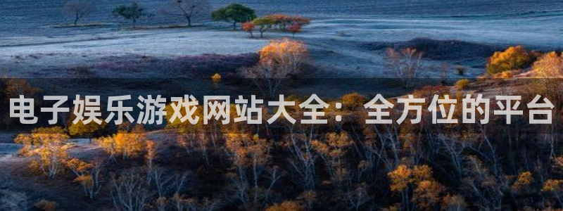 益达娱乐凯捷平台：电子娱乐游戏网站大全：全方位的平台