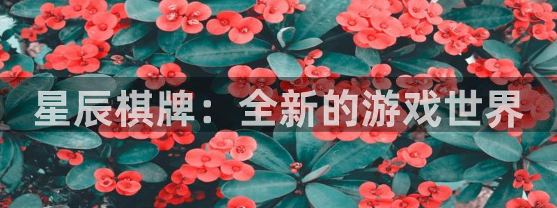 益达娱乐4登录：星辰棋牌：全新的游戏世界