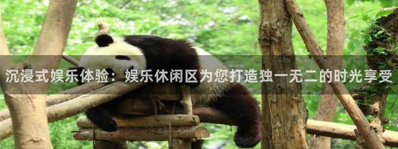 益达娱乐体育凯捷平台代理