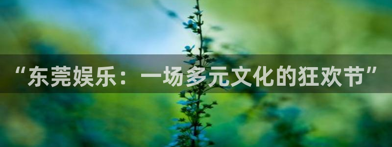 电子游戏益达娱乐：“东莞娱乐：一场多元文化的狂欢节”