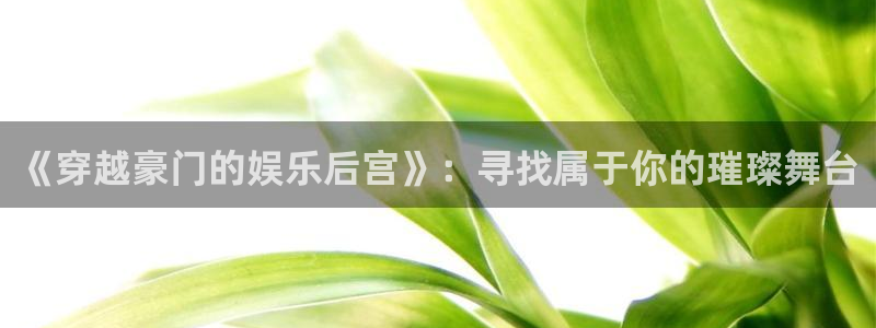 益达娱乐ccmpc：《穿越豪门的娱乐后宫》：寻找属于你的璀璨舞台
