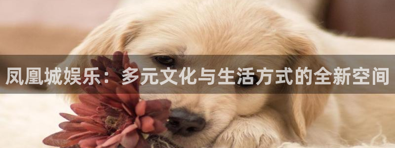 益达娱乐平台主管：凤凰城娱乐：多元文化与生活方式的全新空间