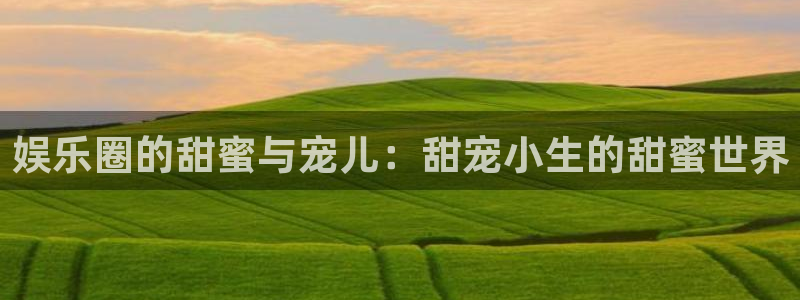 益达娱乐4平台注册：娱乐圈的甜蜜与宠儿：甜宠小生的甜蜜世界