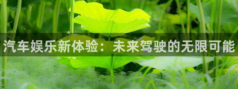 益达娱乐5：汽车娱乐新体验：未来驾驶的无限可能